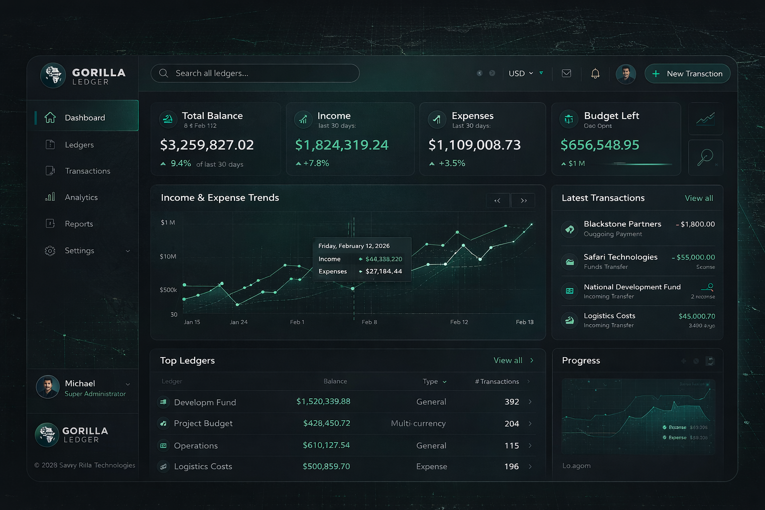 Gorilla Ledger dashboard preview